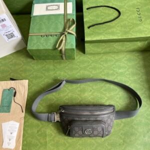 wsxc1671802030479_8.jpg Gucci Ophidia Waist Bag-23*12*2.5CM