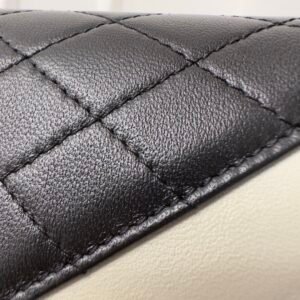 wsxc1680010976342_3.jpg YSL Gaby Bag-20×14.5x5CM