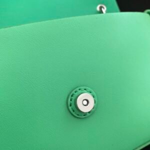 FendI Baguette Bag-19×14×4CM