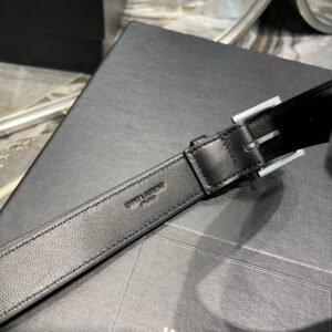 YSL Waist Bag-25×14×3.5CM