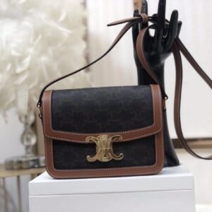ww6565433rwerew_1_.jpg Celin Triomphe Shoulder Bag-18.5X 14 X 6CM