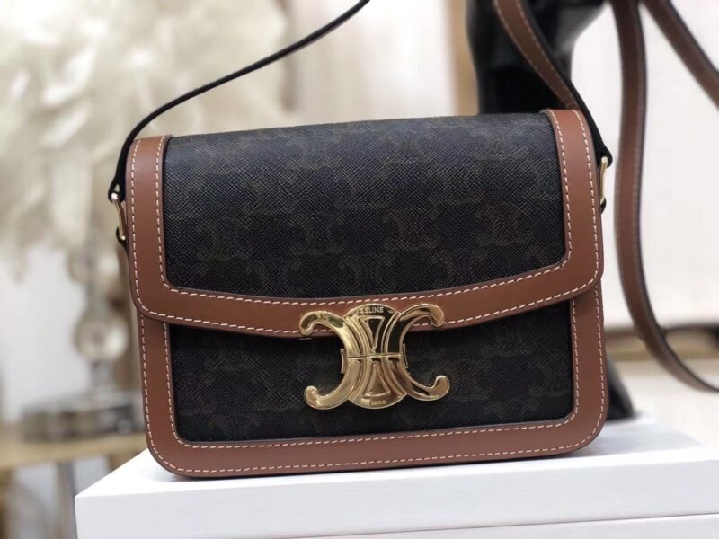 ww6565433rwerew_2_.jpg Celin Triomphe Shoulder Bag-18.5X 14 X 6CM