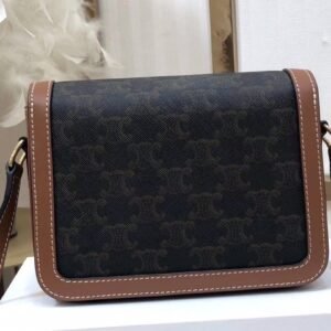 ww6565433rwerew_7_.jpg Celin Triomphe Shoulder Bag-18.5X 14 X 6CM