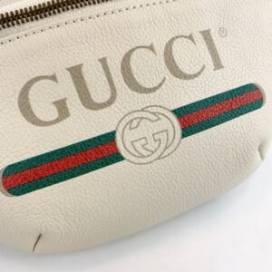 Gucci Waist Bag-22CM